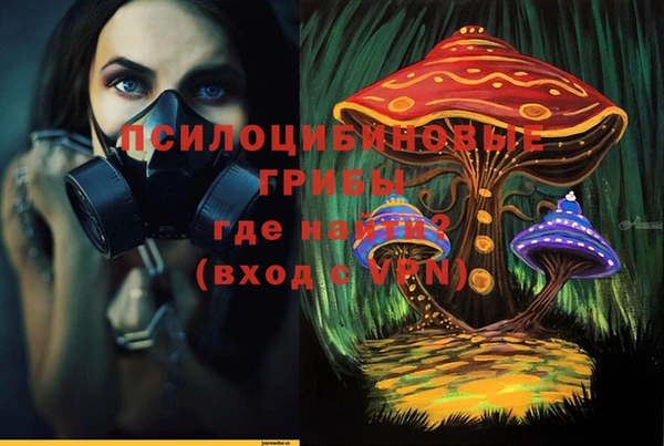 гидра Беломорск