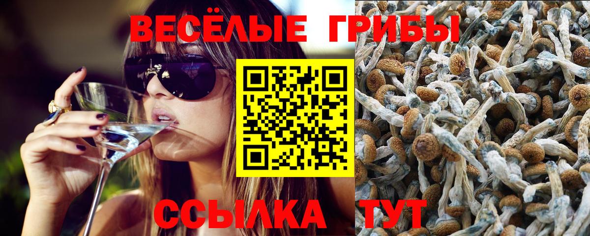 Саяногорск  Псилоцибиновые грибы прущие грибы  Вход с VPN 